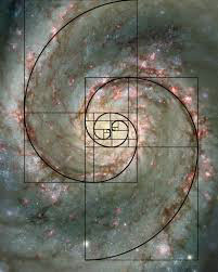 Fibonacci Galaxy