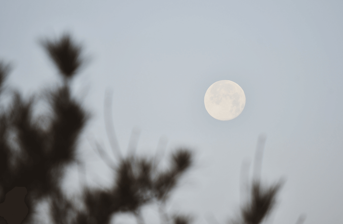 Moon at Dusk